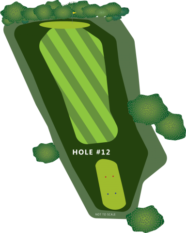 Hole 12 Illustration