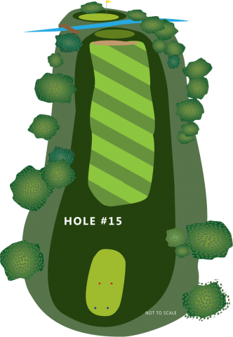 Hole 15 Illustration
