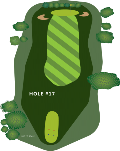 Hole 17 Illustration