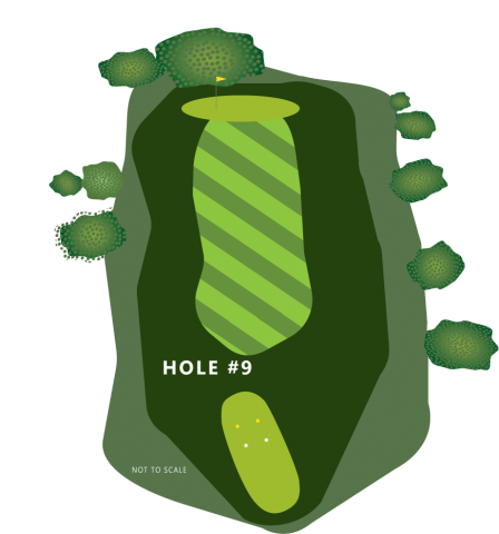 Hole 9 Illustration
